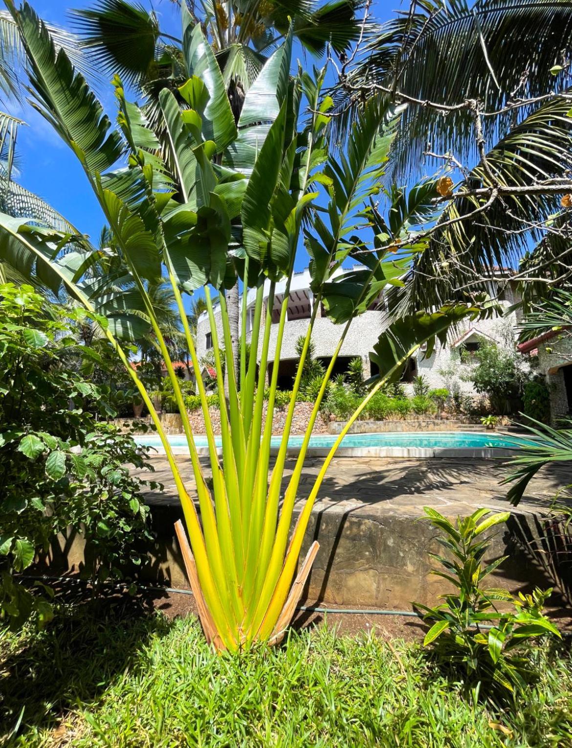 Tembo Village Watamu Kültér fotó